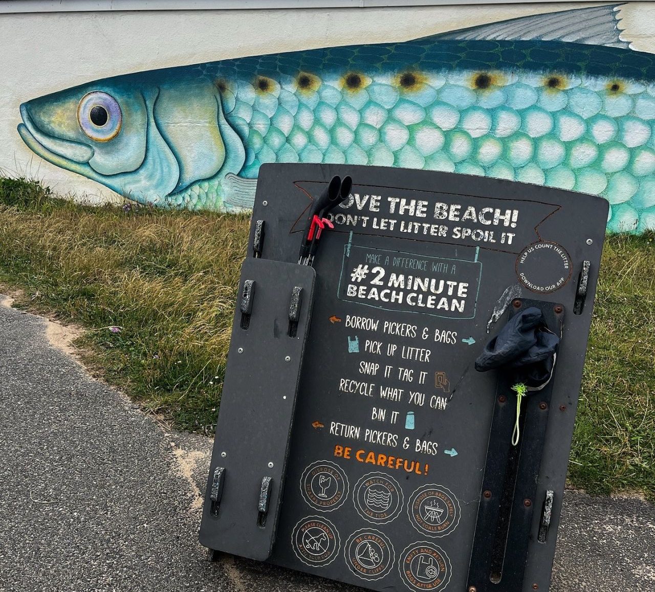 Business Networking Beach Clean